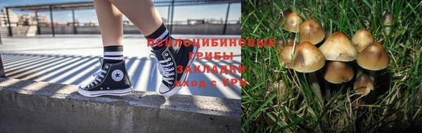 дживик Аркадак