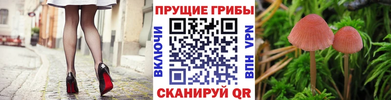 Галлюциногенные грибы прущие грибы  дарнет шоп  Лабытнанги 